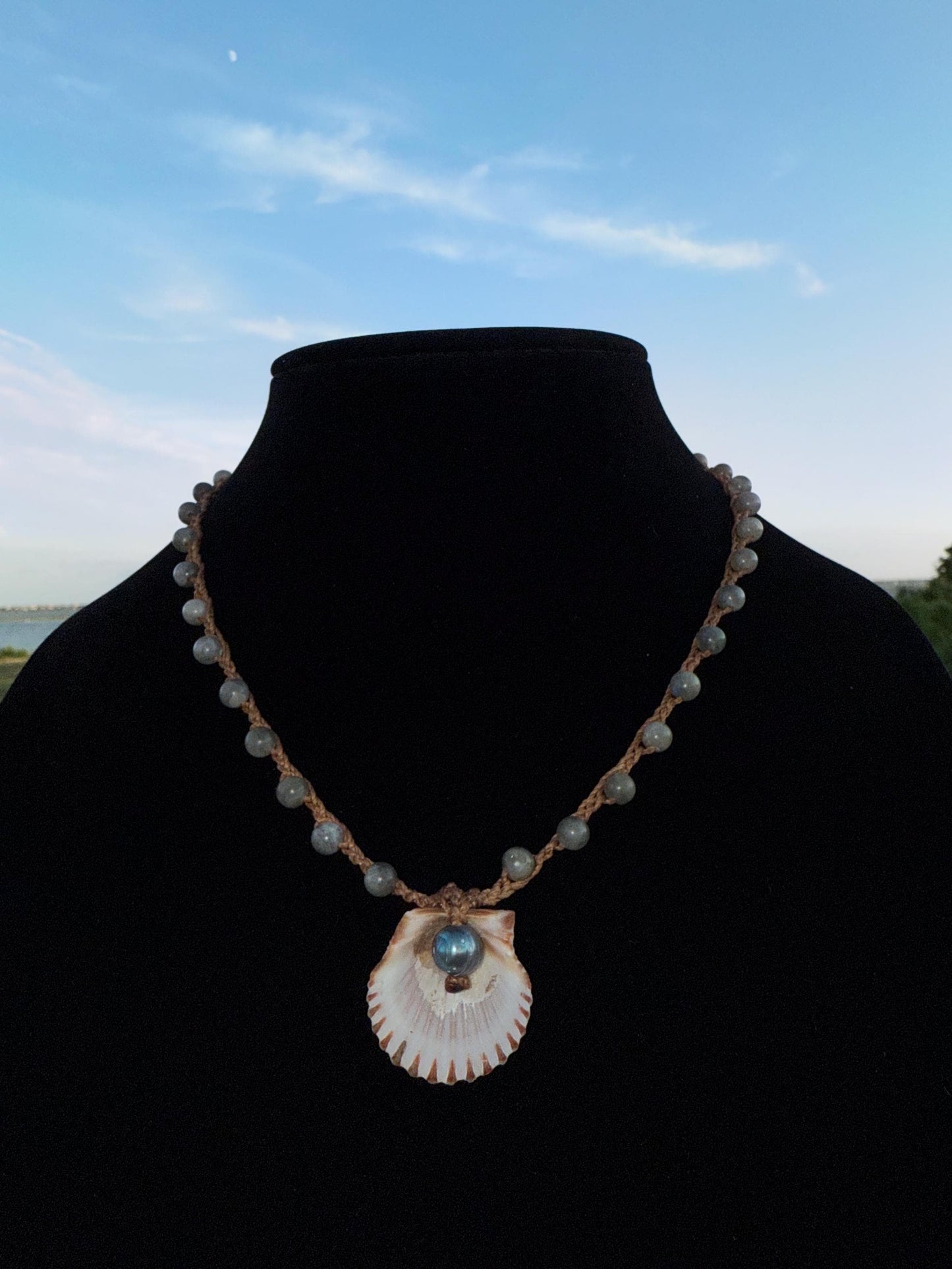 18” labradorite handmade necklace/ Atlantic scallop