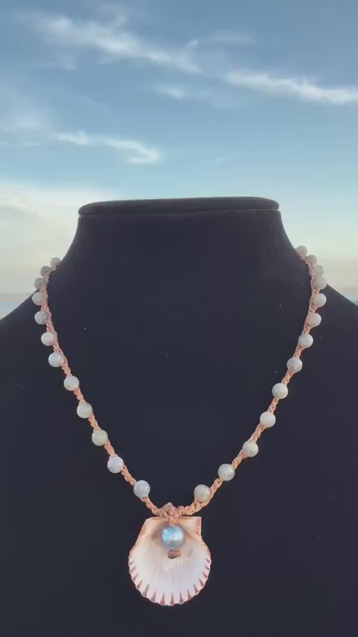 18” labradorite handmade necklace/ Atlantic scallop